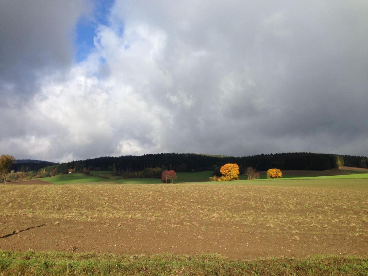 Cozy Pet Friendly Holiday Home In T Nnesberg Tännesberg Esterno foto